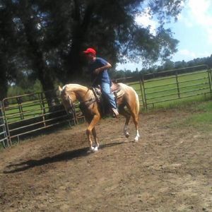 Meet your Posher, Barclay